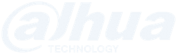 Dahua Technology